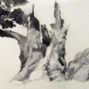 tree5