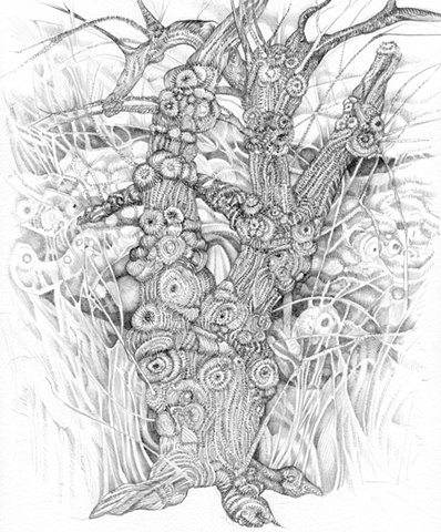 Fairie Mulberry