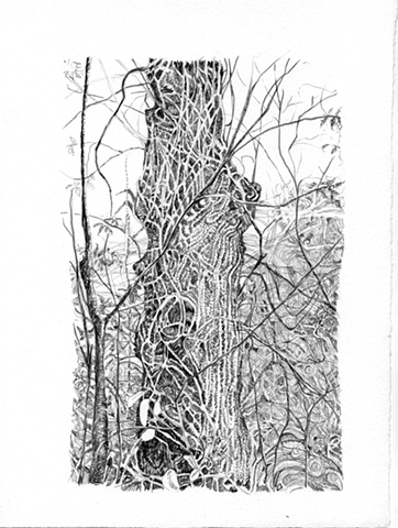 Dead Tree on Blunn Creek