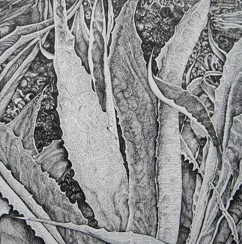 Agave Sway