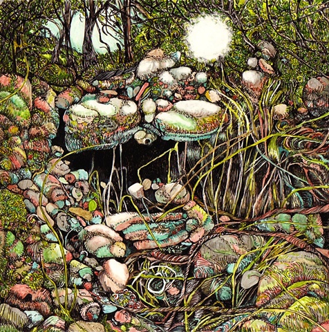 Land of Chameleons
