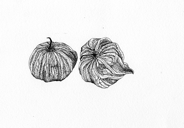 Tomatillas