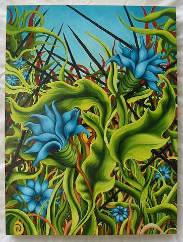 Star Flowers