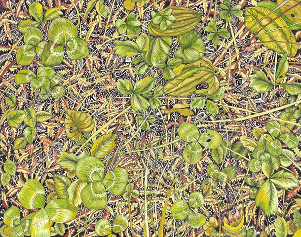 Lake George Grass