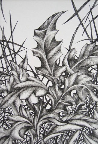 Dandelion