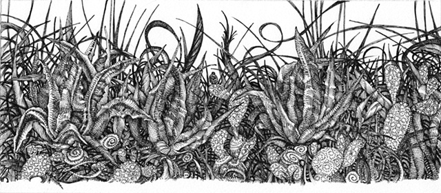 Mod Agaves