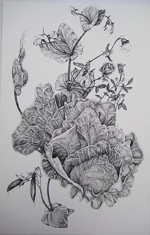 Robin's Cabbage, Roses and Peas