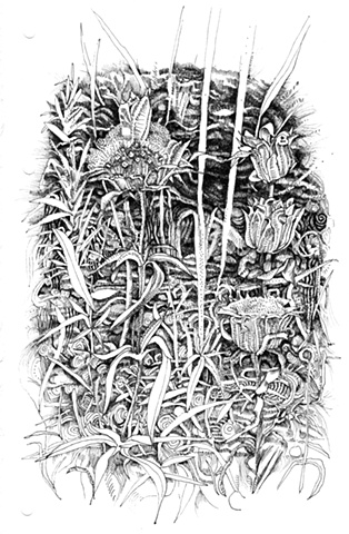 Headache Flowers