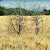 Trying to Save my Marriage, Bandera, Texas, 1994