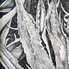 Drawings