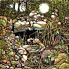Land of Chameleons