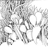 Bald Cactus 
