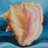 My Shell
