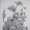 Robin's Cabbage, Roses and Peas