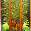 Pomegranate Tree