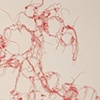 Syncytium (Side 1)