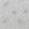Voronoi II
