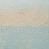 Plaster