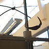 swings