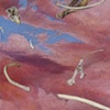 Cork: Bones