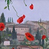 Chianti: Poppies