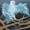 Blue Owl