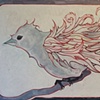 White Bird