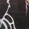 Feather Streamers
