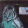 Tiny Owl