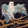 Blue Owl Print