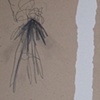 detail- 12 daydreams