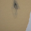 detail- days