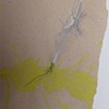 detail- aliquem...