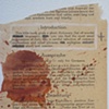 detail- diccionario de sangre