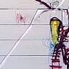 wingedhumaninsectdancingwithdeath