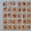 works on paper