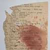 detail- diccionario de sangre
