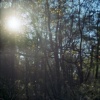 radiance magnified at the s-turn