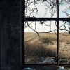fields of when