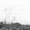 across state lines