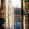 back deck at dawn, new jersey