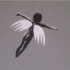 Icaro