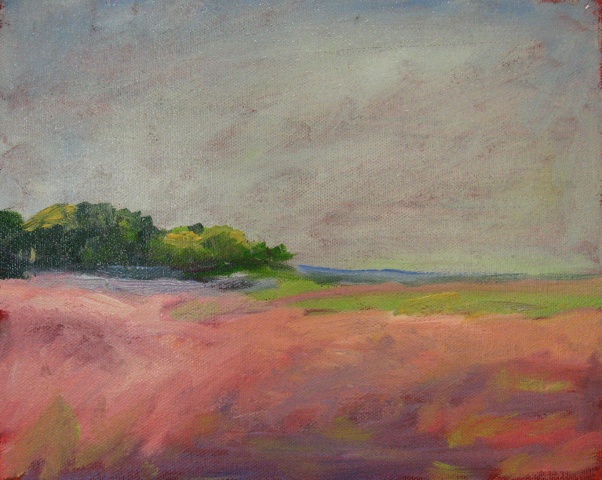 Headlands Morning