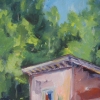 Shelter