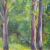 June Trees