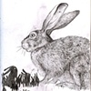 The Sketchbook Project