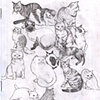The Sketchbook Project