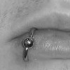 Snakebites, Septum