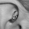 Rook