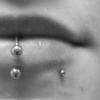 Labret, Snakebites